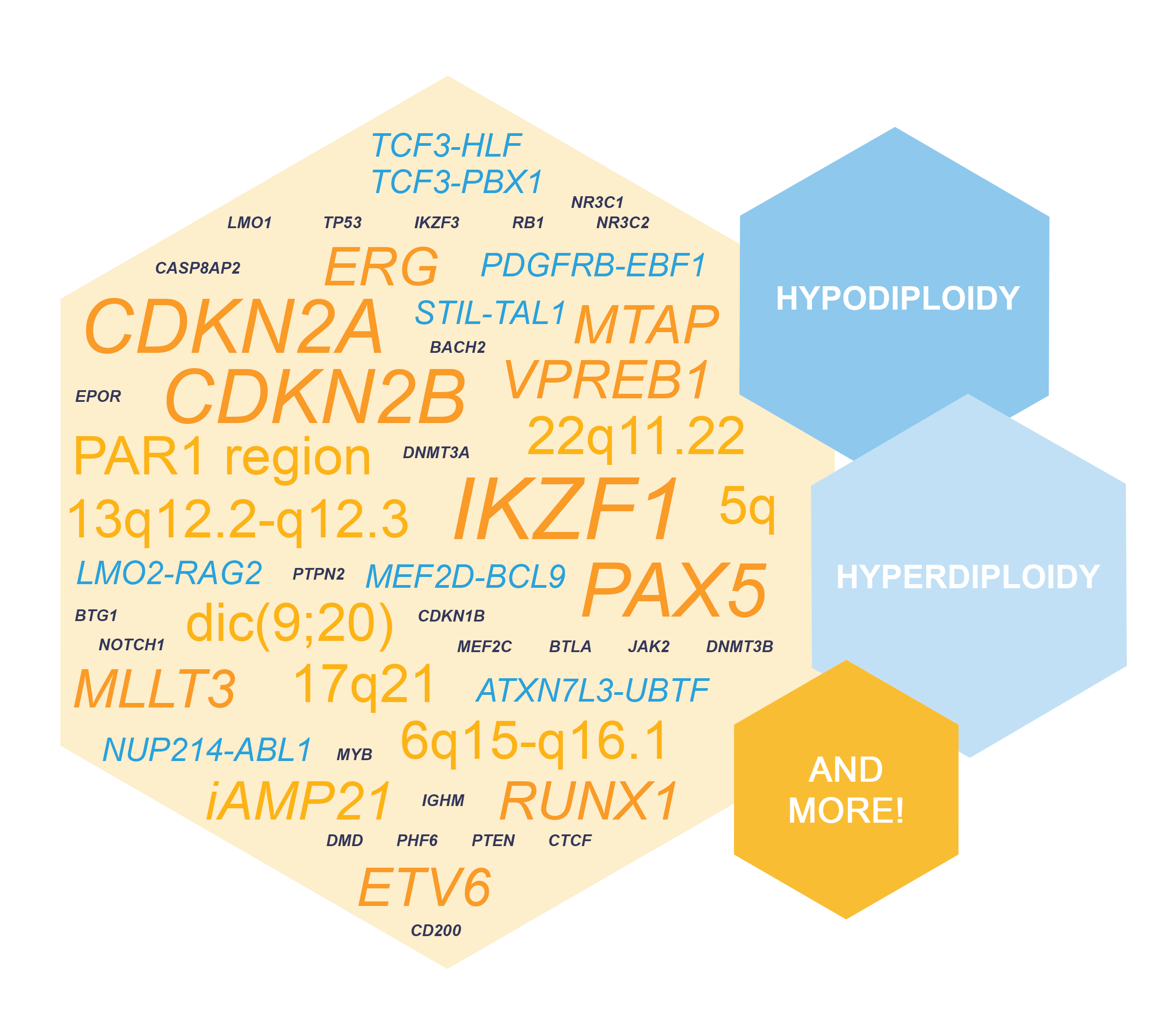 D007 target genes word cloud.