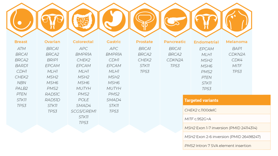 Target genes and regions in D001 Hereditary Cancer Panel 1 (click to enlarge)