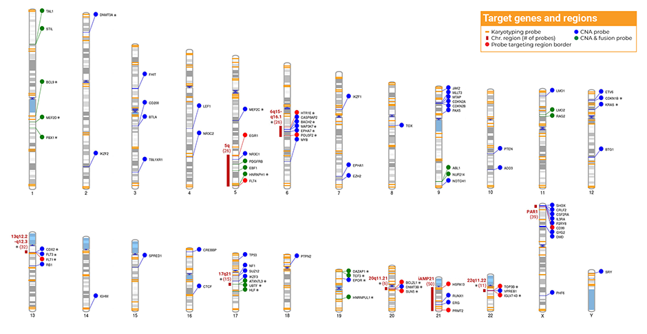 Target genes and regions in D007 Acute Lymphoblastic Leukemia (click to enlarge)